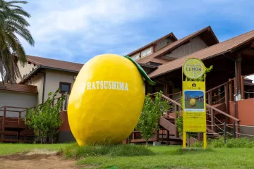 Hatsushima: Shizuoka's Lemon Island