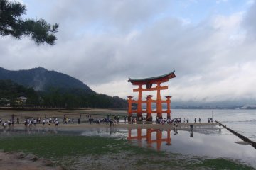 Low tide allows tourist to get up clost to the gate