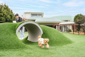 Izu Kogen: Japan’s Most Dog-Friendly Destination