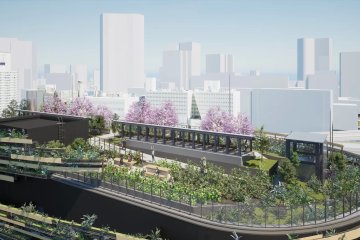 Rooftop garden