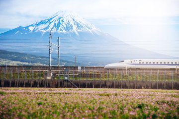 Tokaido Shinkansen passing Mt. Fuji