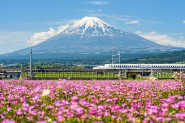 Shinkansen: Japanese Bullet Train — Ultimate Guide