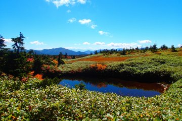 <p>Pemandangan dari atas</p>
