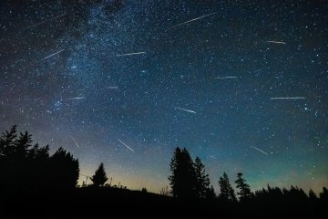 Perseids