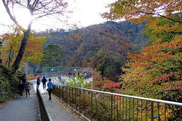 The way to the free observatory deck