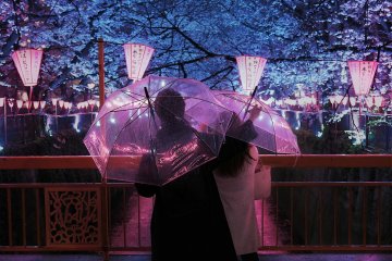Tokyo a Top Vacation Spot for Traveling Couples