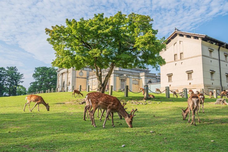 Nara National Museum