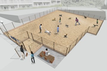 Hotel facilities for pets