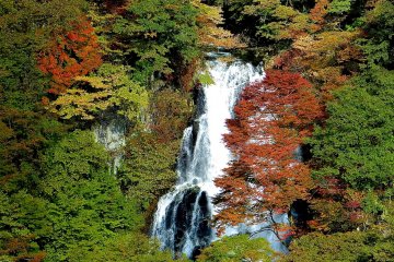 Nikko Kirifuri-no-taki Falls
