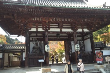 石山寺賞楓