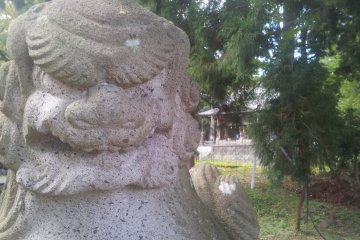 One of the guardians looking over the valley