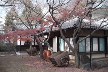 Gotokuji temple grounds