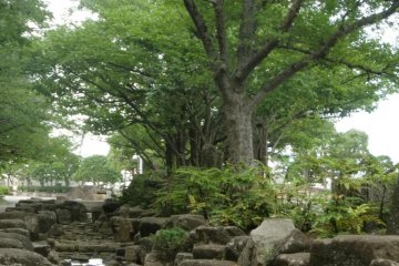 Path to the Fountain
