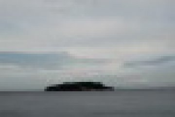 Monkey Island