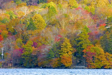 Brilliantly colored with red, orange, and yellow