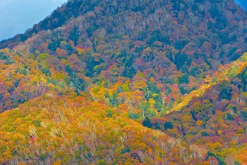 Once the sun comes out, the surface of the mountain turns gorgeous!