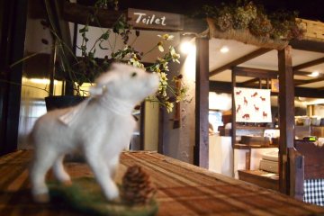 카페의 여러 면을 구경하는 것을 즐겼다!