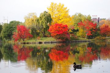 The main pond attracted many photography enthusiasts.