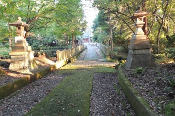 The long walk up to the shrine through Karasuga-mori. The forest is 24,200 square meters and a designated Cultural Treasure of Sabae