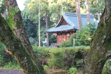 The shrine and its horse