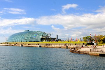 View of Fukushima Aquamarine aquarium, across from La La Mew