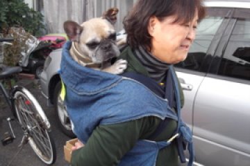 Lady 'walking' her dog