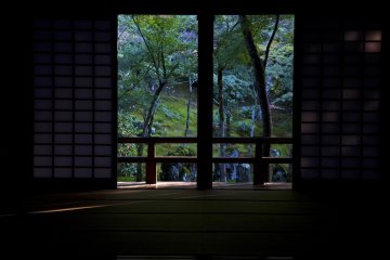 <p>Las puertas est&aacute;n abiertas y puedes ver gran parte del jard&iacute;n. Lo que no puedes imaginar es la sorpresa que te espera del otro lado</p>