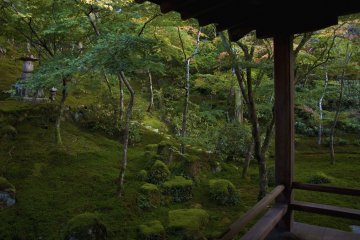 <p>En muchos de estos jardines Zen, el musgo es usado como cubierta para crear "tierra" repleta de bosques.</p>