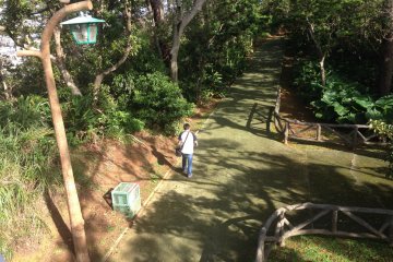 A hiking trail that starts just behind the observation tower