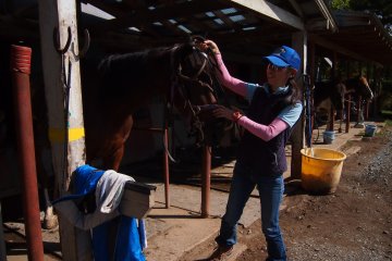 <p>Merci Akiko-san pour une s&eacute;ance d'&eacute;quitation tr&egrave;s agr&eacute;able!</p>