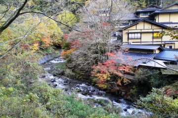 Trees ablaze along the river