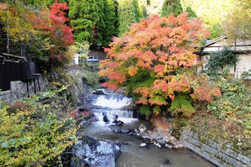 The colors are stunning in autumn