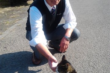 Nakagomi-san keeps cats on his orchard to prevent the mice from damaging the roots of the fruit trees.