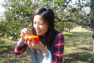 Giving the juicy persimmon a try; it was so juicy it spilled all over!