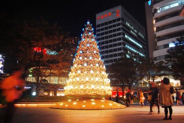 <p>Nikmati kehangatan pencahayaan di pohon natal.</p>