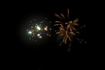 Palm burst effect 2