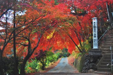 An exit way from Shimabuji temple