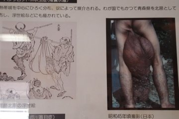 Holy kintama!