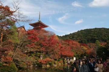  秋・紅葉・和服・ 三年坂至一年坂