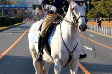 Imperial Palace Guard on horseback