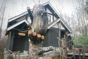 Guardian owl on duty.