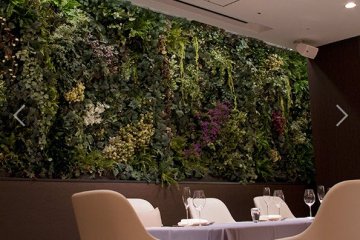 The jungle wall with live plants