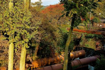 Biwako Canal running through the forest
