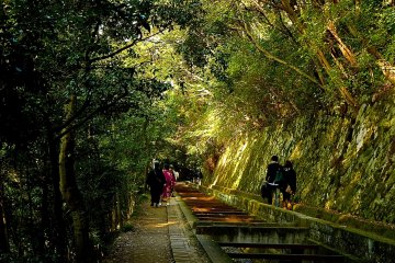 Pleasant walkway along the canal