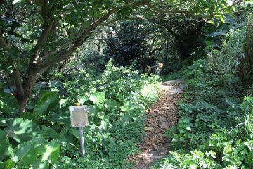 <p>Look for this decending pathway on the right and listen for the vehicular traffic entering and exiting the highway tunnel that is just below the nearby cliff</p>