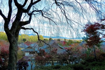 <p>Temple buildings as seen from the outer reaches of the garden</p>