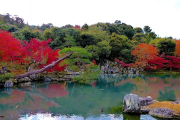<p>Sogenchi Pond</p>