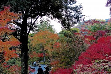 <p>From the walkway of the hilly garden</p>