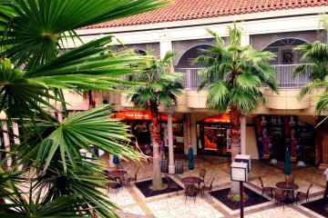<p>The Avenue of Palm Trees give this alfresco courtyard a resort feel by the shores of Osaka Bay at Kispa La Park Kishiwada just 2 minutes walk from Haruki Station</p>