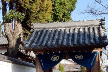 Gate with the Kono clan mark
